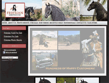 Tablet Screenshot of friesianmarketplace.com